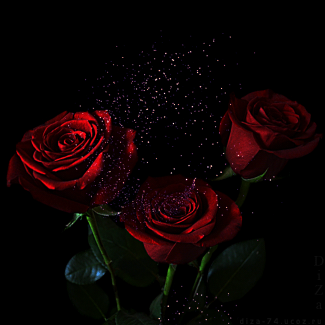 http://img29.dreamies.de/img/236/b/vtalx52jjls.gif http://img29.dreamies.de/img/236/b/vtalx52jjls.gif