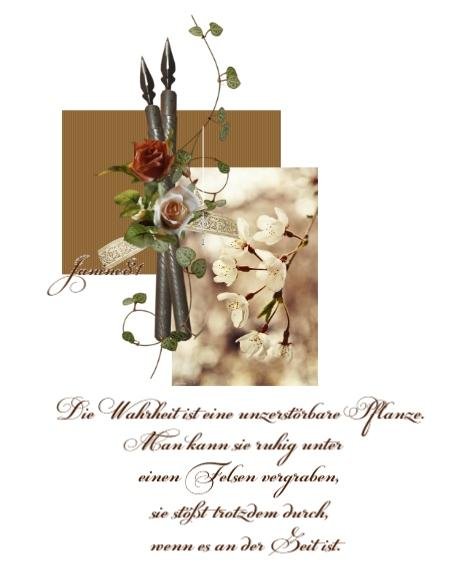 ext. Bild
