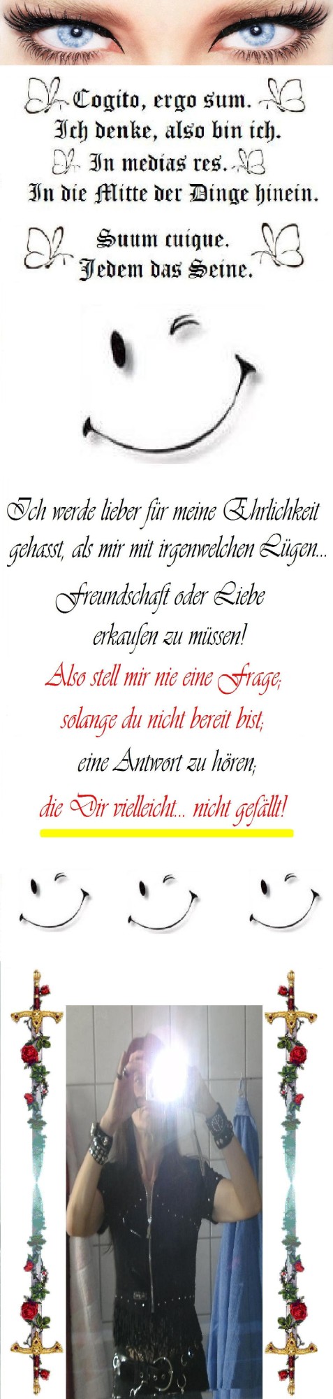 ext. Bild